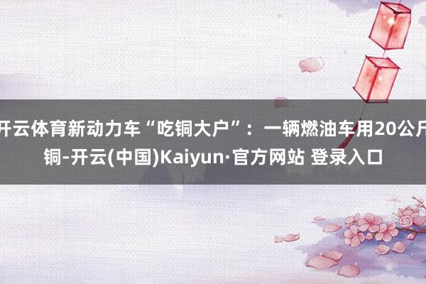 开云体育新动力车“吃铜大户”：一辆燃油车用20公斤铜-开云(中国)Kaiyun·官方网站 登录入口